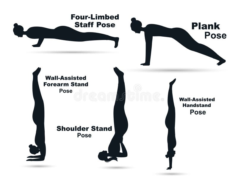 Фитнес картинки. Four Limb staff pose на русском. Page position