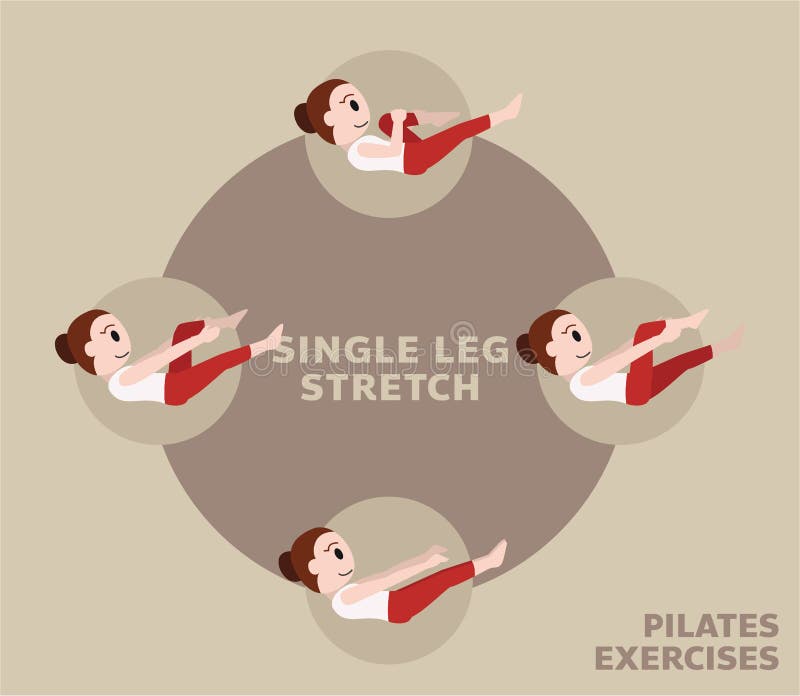 Pilates Single Leg Stretch Stock Illustrations – 27 Pilates Single