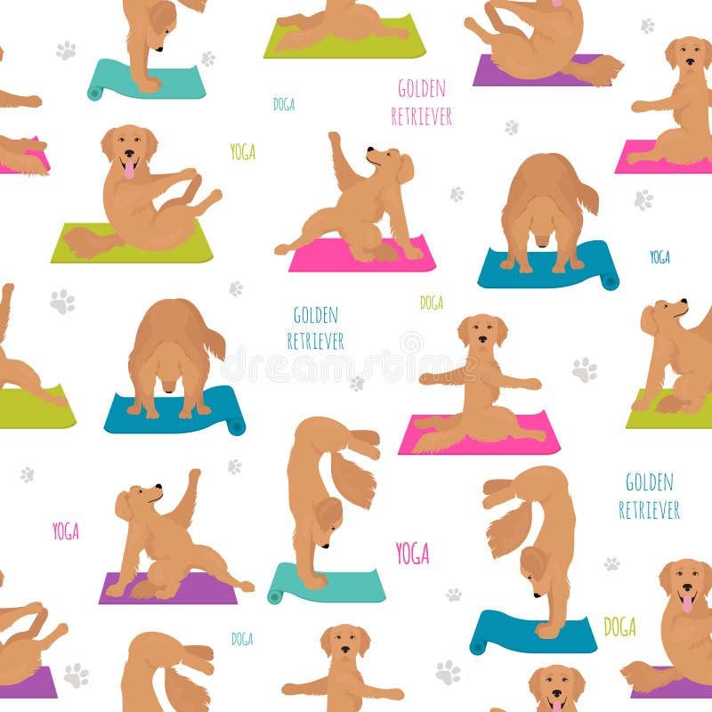 Yogahundkappl?pningen poserar och ?var S?ml?s modell f?r golden retriever royaltyfri illustrationer Yogahundkappl?pningen poserar och ?var S?ml?s modell f?r golden retriever royaltyfri illustrationer