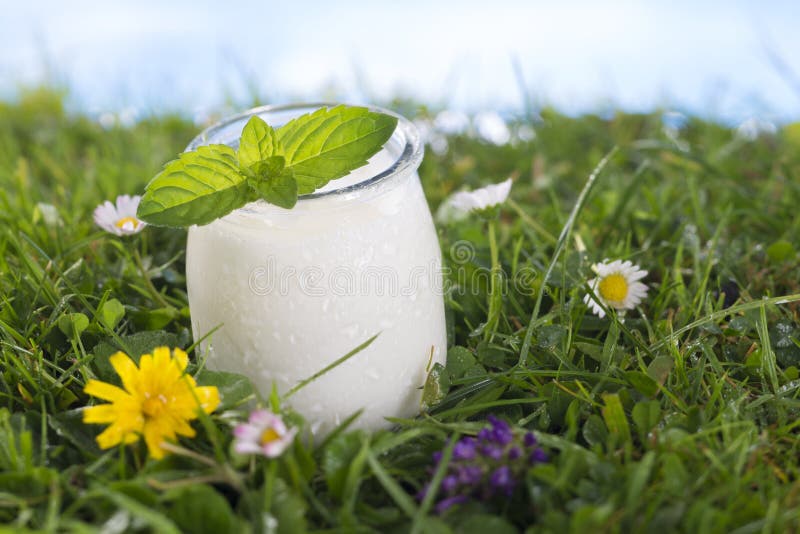 Yoghurt met muntblad op het gras stock afbeeldingen Yoghurt met muntblad op het gras stock afbeeldingen