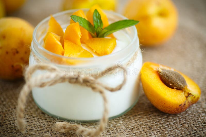 Download Yogurt Con Le Albicocche Fresche Fotografia Stock - Immagine di vaso, mangi: 56889108