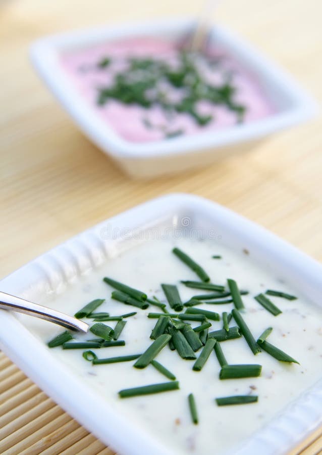 Yogurt and garlic sauces stock photography