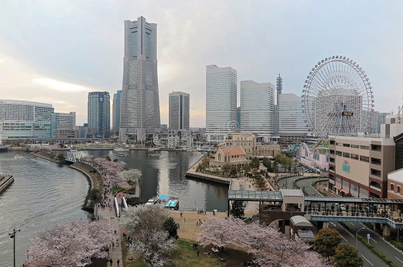 Yokohama Minato Mirai Bay-områdets vårsceneri med tanke på de höjda byggnaderna i bakgrunden royaltyfri foto