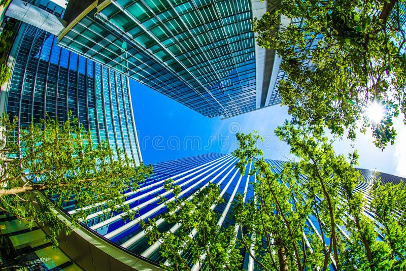 Yokohama Minato Mirai wieżowowie niebieskie niebo i świeża zieleń obrazy stock