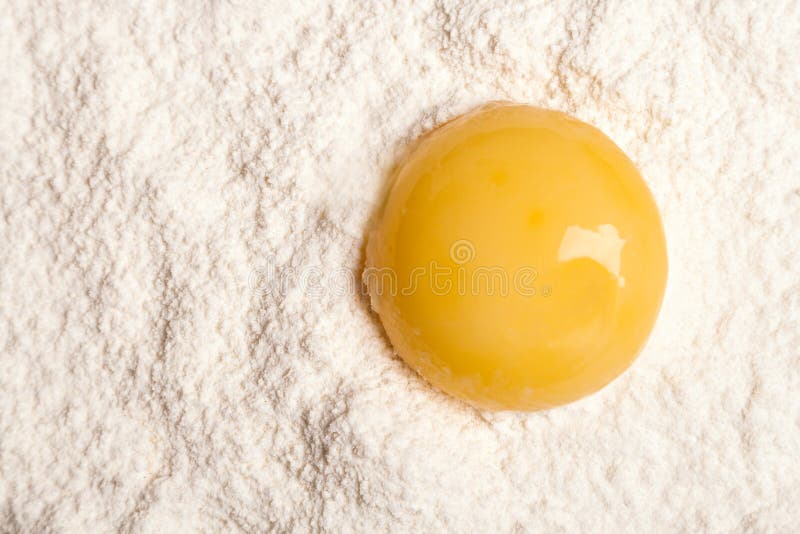 Yolk of Egg on White Flour with Shade Stock Photo Image of fresh