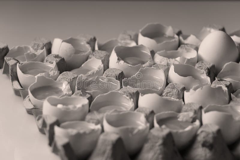 Yolks in a Carton of Eggs, Closeup View Stock Photo Image of carton