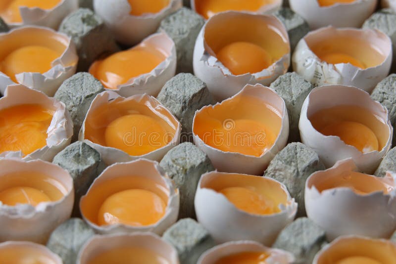 Yolks in a carton of eggs stock photo. Image of groceries 92224780