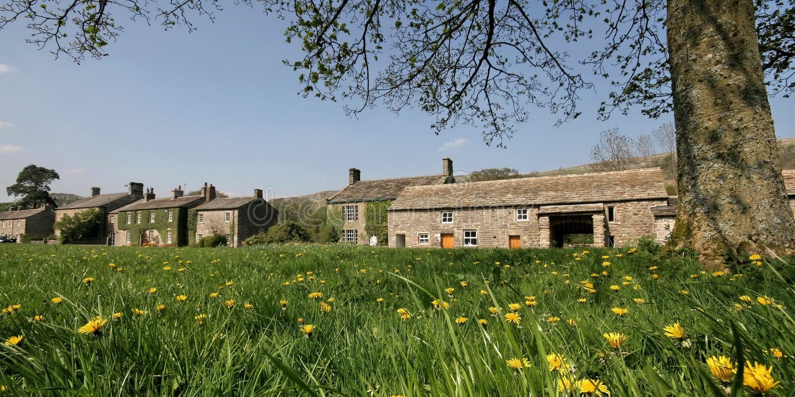 Yorkshire Dales, Malham Cove Stock Photo Image of farming, colors