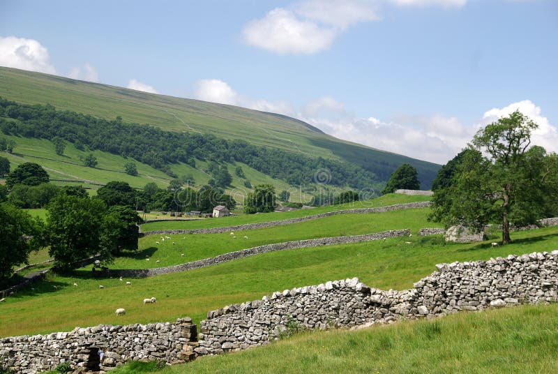 A Road in the Yorkshire Dales Stock Photo Image of national