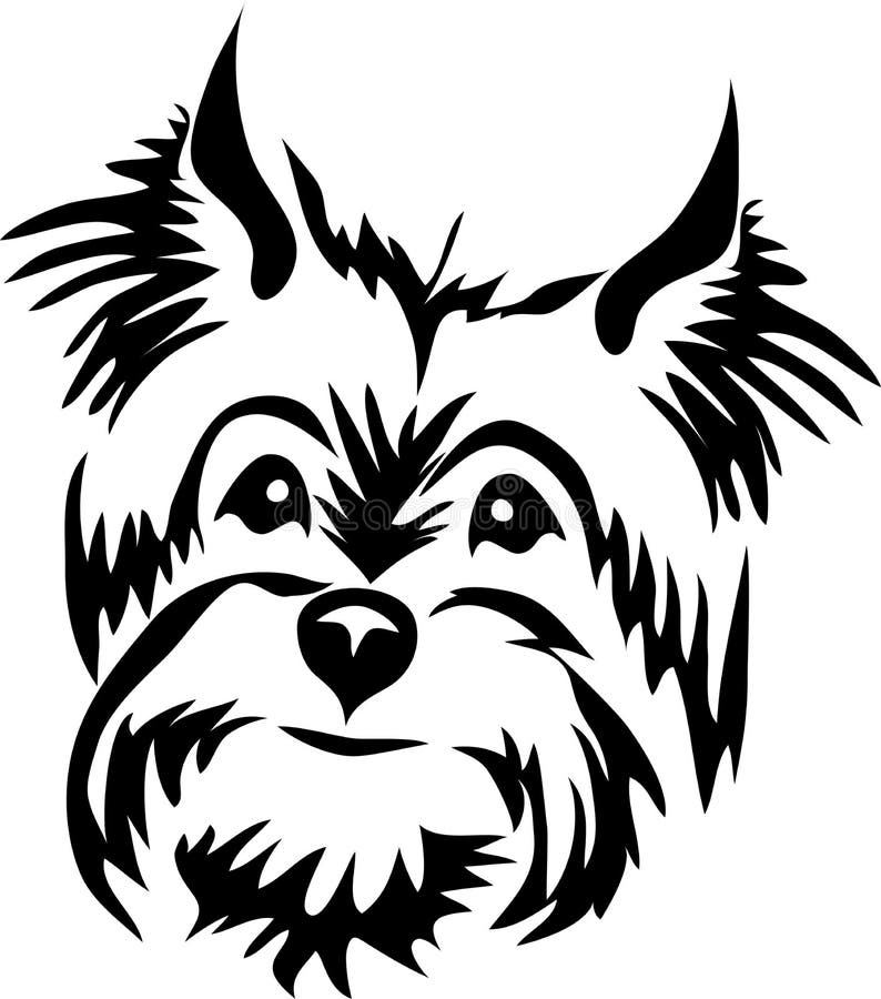 Yorkshire terrier head. 