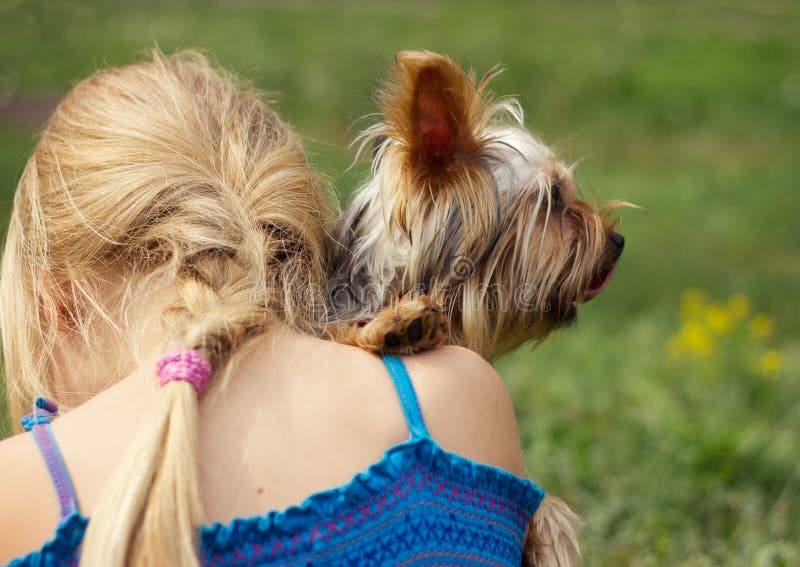 Yorkshire terrier på skuldra av årig flicka 6 se rakt till royaltyfri fotografi Yorkshire terrier på skuldra av årig flicka 6 se rakt till royaltyfri fotografi