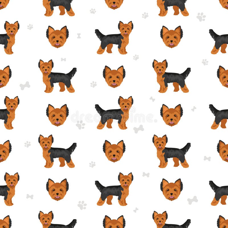 Yorkshire Terrier Seamless Pattern. Different Poses, Coat Colors Set