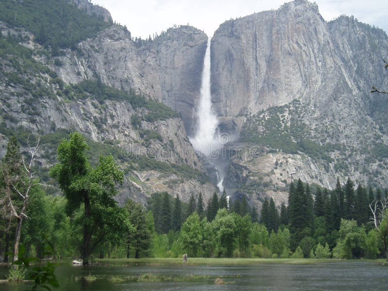 Yosemite Nationaal Park stock foto Yosemite Nationaal Park stock foto