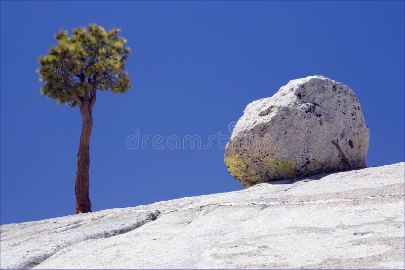 Yosemite National Park.