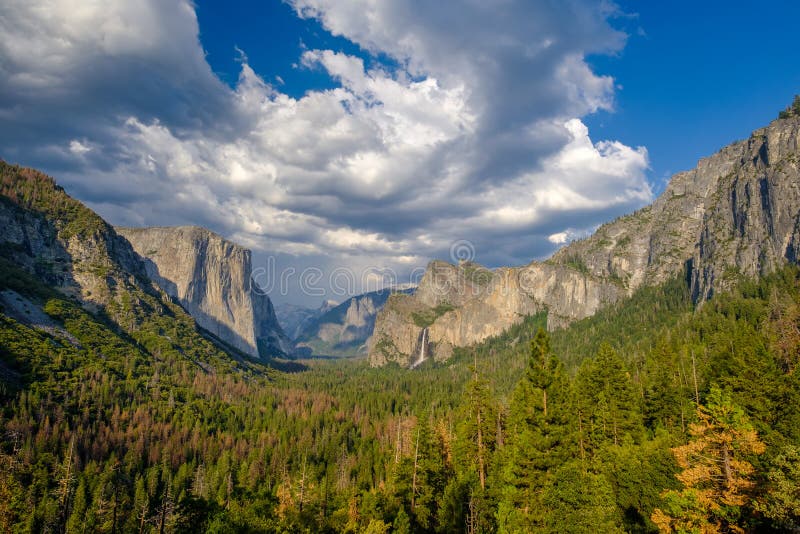 Yosemite National Park Valley Summer Landscape Stock Photo Image Of