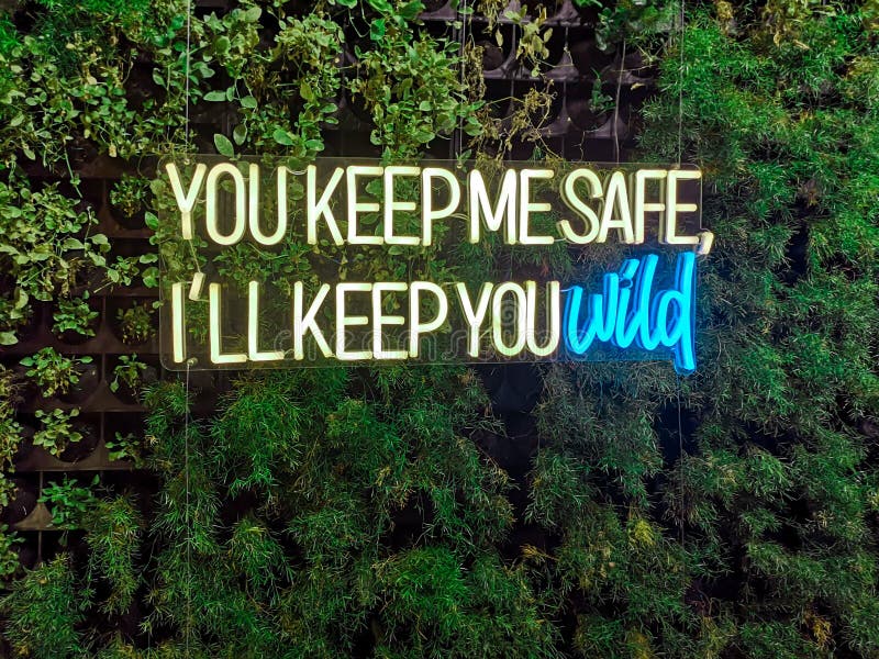 Keep me safe. You keep me safe i'll keep you Wild. I ll keep you safe. I'll keep you safe текст. I keep you safe you keep me Wild перевод.