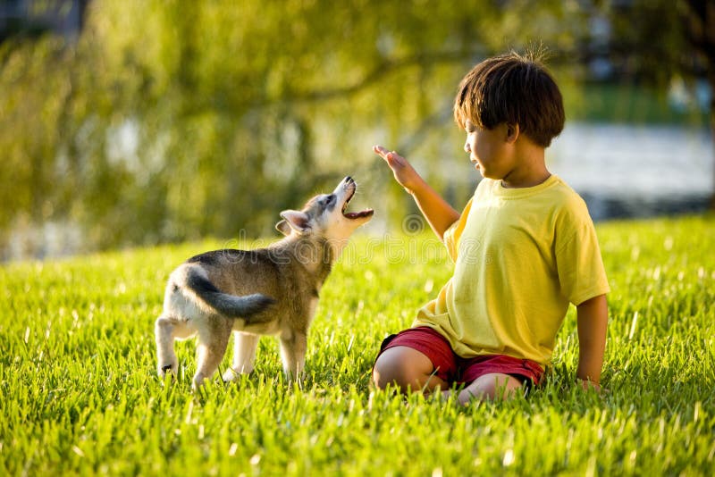 Young Asian boy playing with puppy on grass