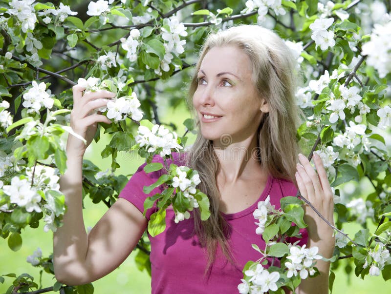 Young Attractive Woman Standing Near The Blossoming Apple Tree Stock