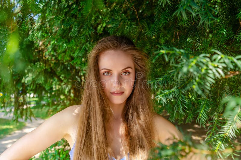 Young Attractive Woman Standing Under a Yew Green Tree. he Looks ...