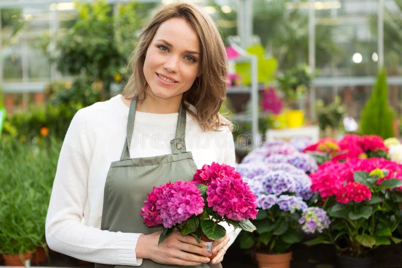 Young Attractive Woman Working at the Plants Nursery Stock Photo
