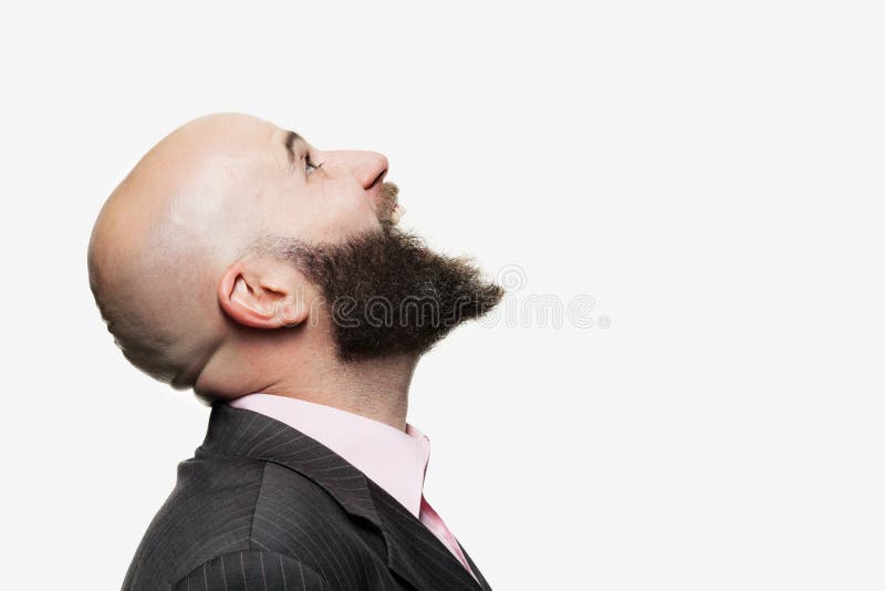 Young bald man with a beard royalty free stock images