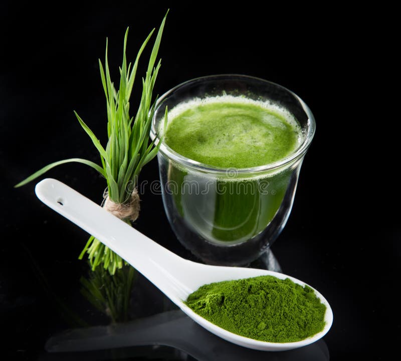 Young Barley and Chlorella Spirulina. Stock Image Image of fresh