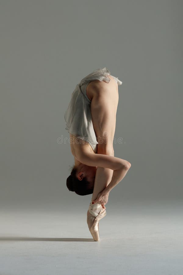 Young beautiful ballet dancer is posing in studio royalty free stock photos