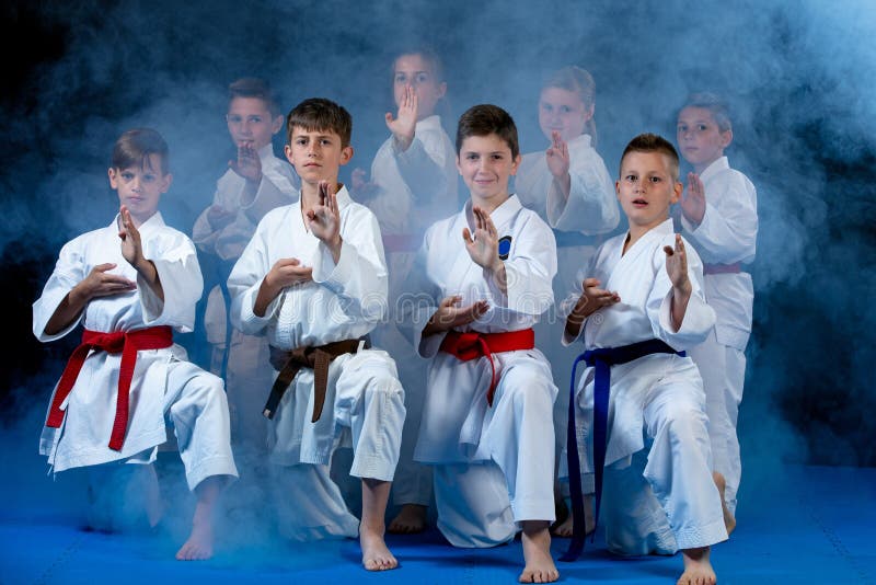 rem Worden radar 4,210 Karate Kids Stock Photos - Free & Royalty-Free Stock Photos from  Dreamstime