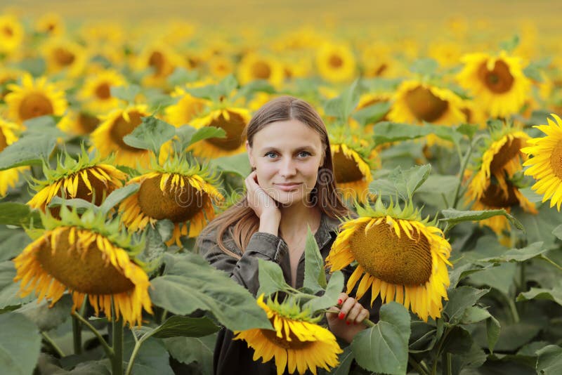 Young beautiful woman on blooming sunflower field in summer, health and lifestyle stock images Young beautiful woman on blooming sunflower field in summer, health and lifestyle stock images