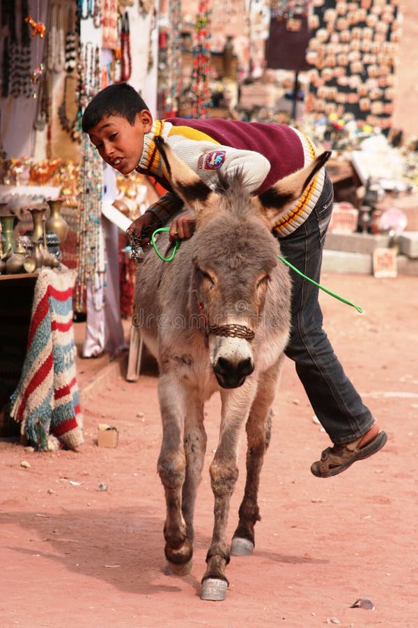 Young Bedouin boy climbing on his donkey stock photo Young Bedouin boy climbing on his donkey stock photo
