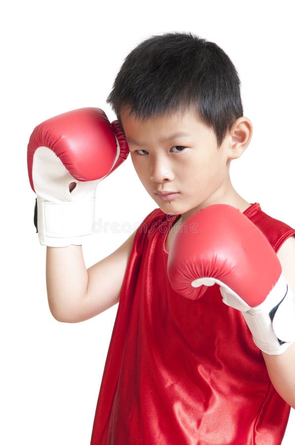 Young boxer stock image. Image of china, boxing, stare 26247259