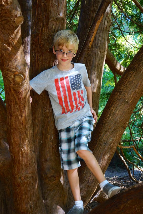 Young Boy Climbs Tree stock photo Young Boy Climbs Tree stock photo