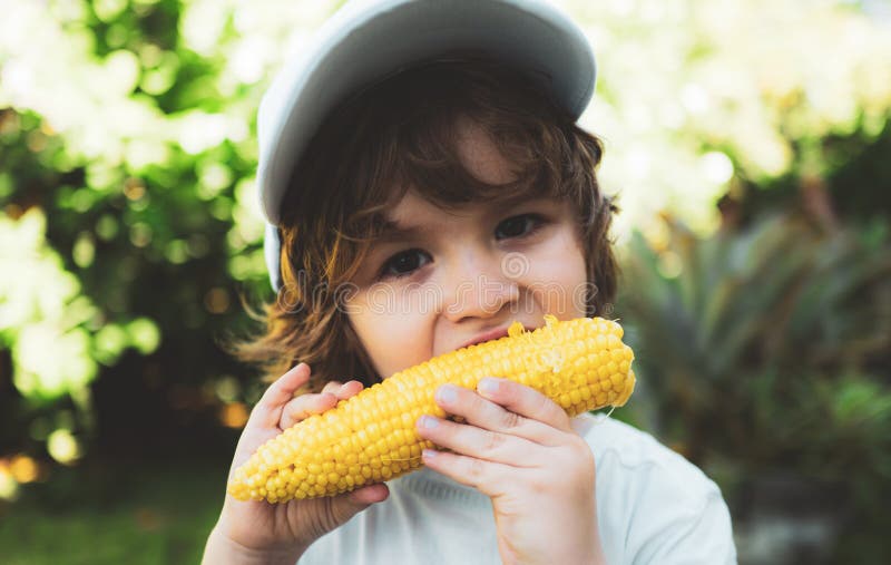 Young Boy Eating Corn on the Cob. Food for Kids. Stock Image Image of