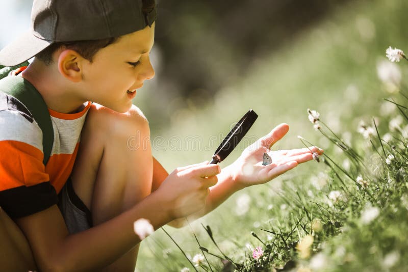 Boy exploring nature in a meadow with a magnifying glass stock photo