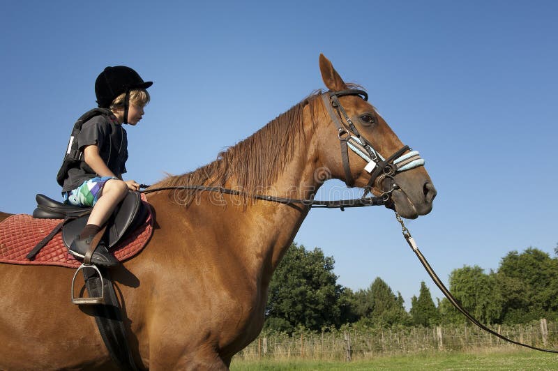 Young boy ride a horse stock image. Image of person, happy 26270235