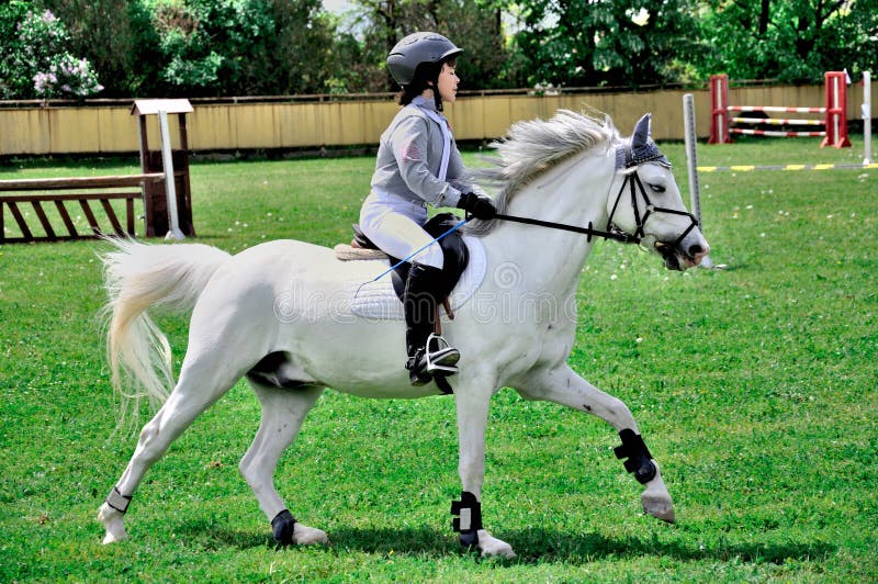 Young Boy Riding White Horse Stock Photo Image of horse, elegance