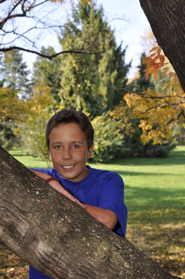 Young boy by a tree in autumn royalty free stock photos