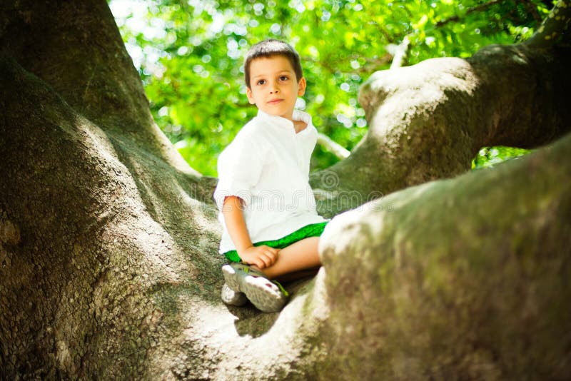 Young boy in tree stock photo Young boy in tree stock photo