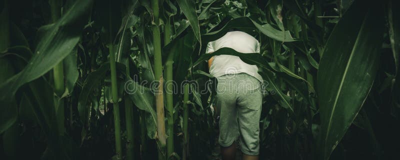 Young boys lost in spooky summer corn maze run
