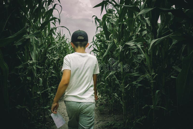 Young boys lost in spooky summer corn maze run