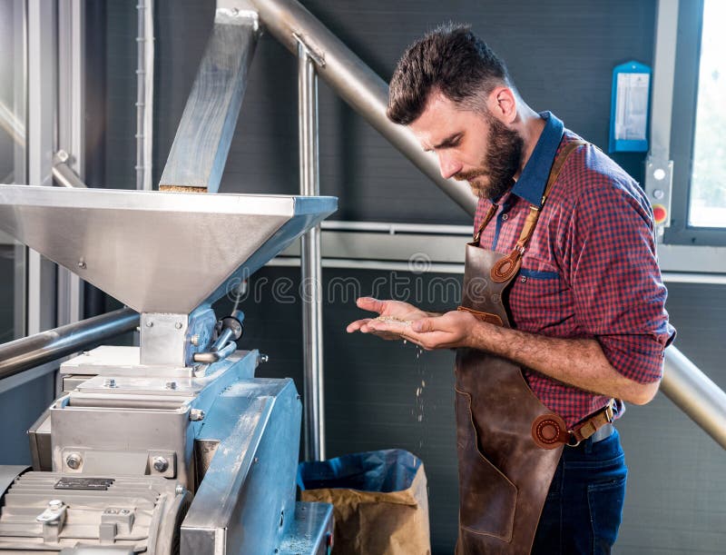 A Young Brewer in a Leather Apron Controls the Grinding of Malt Seeds in a Mill at a Modern