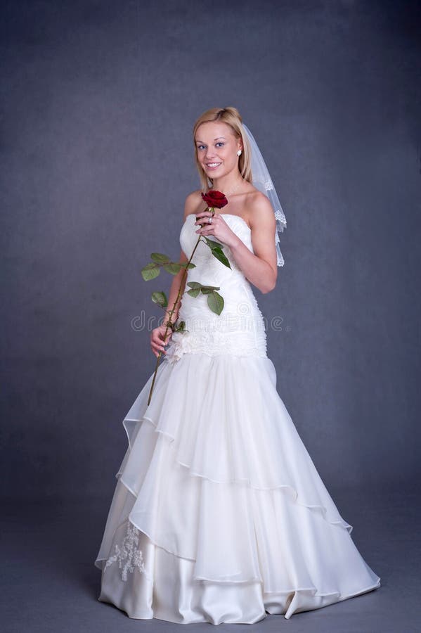 Young Bride in Wedding Dress Stock Image Image of hands, 23517715