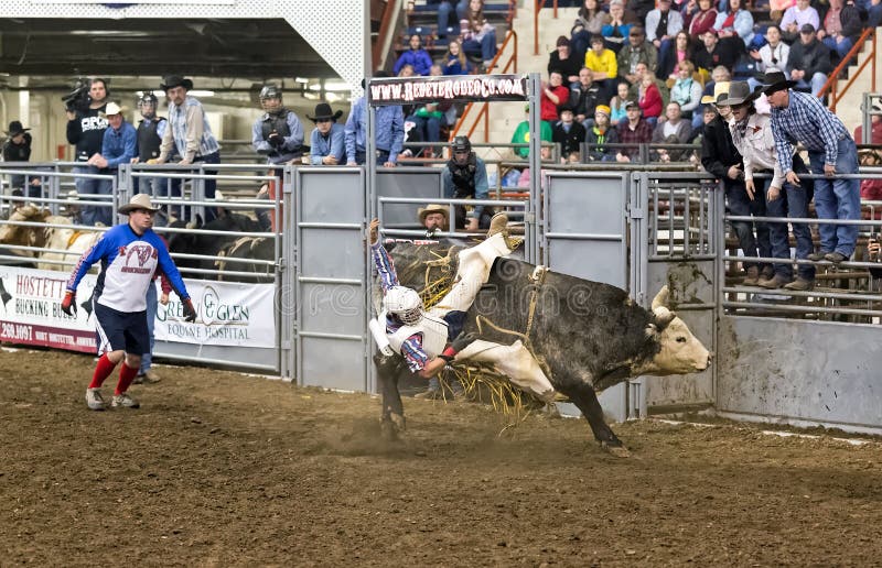 Young Bull Rider