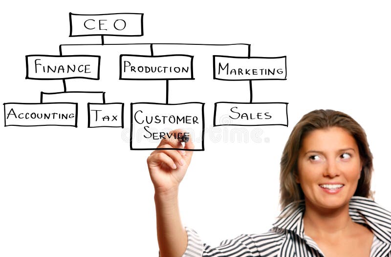 Young businesswoman and business hierarchy royalty free stock photography Young businesswoman and business hierarchy royalty free stock photography