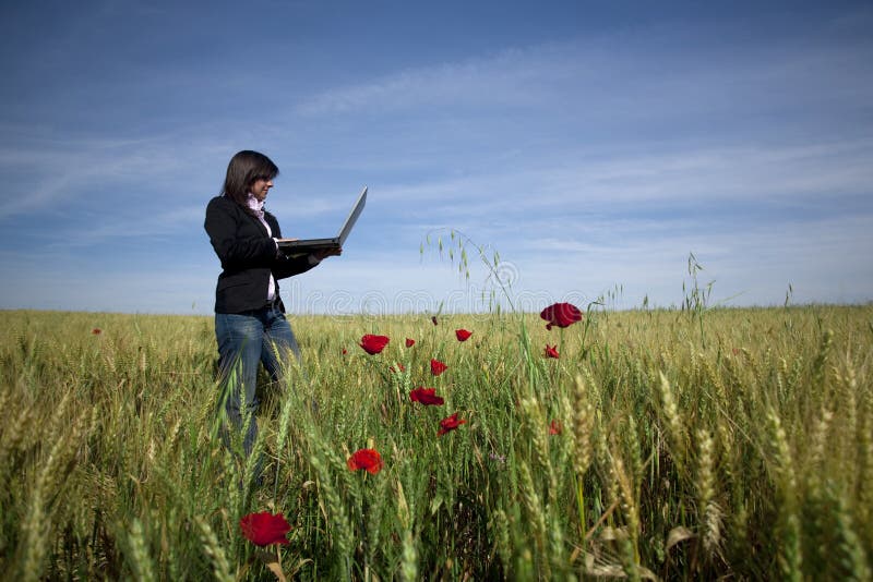 Young businesswoman with laptop on poppie field