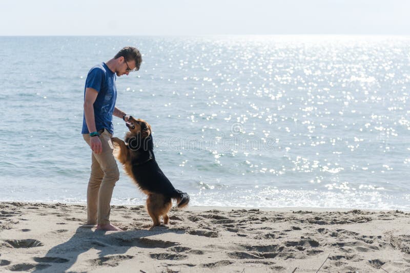 Young caucasian boy playing with dog on beach. Man and dog having fun on seaside