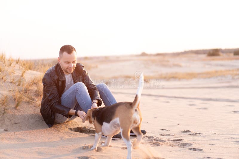 A young Caucasian man dressed black leather jacket and blue jeans sits on sandy beach next to his friend the dog Beagle breed