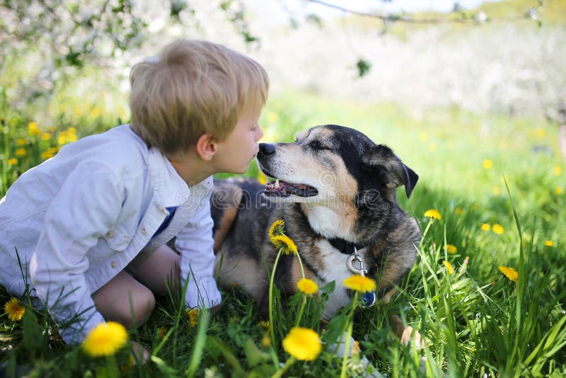 Young Child Kissing Pet German Shepherd Dog Outside in Flower Me