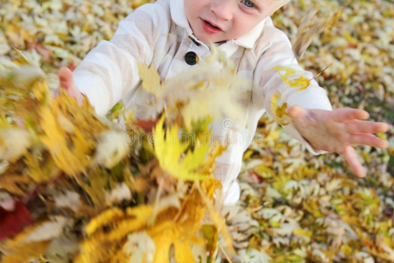 Young Child Playing with fallen leaves in Autumn stock photography Young Child Playing with fallen leaves in Autumn stock photography