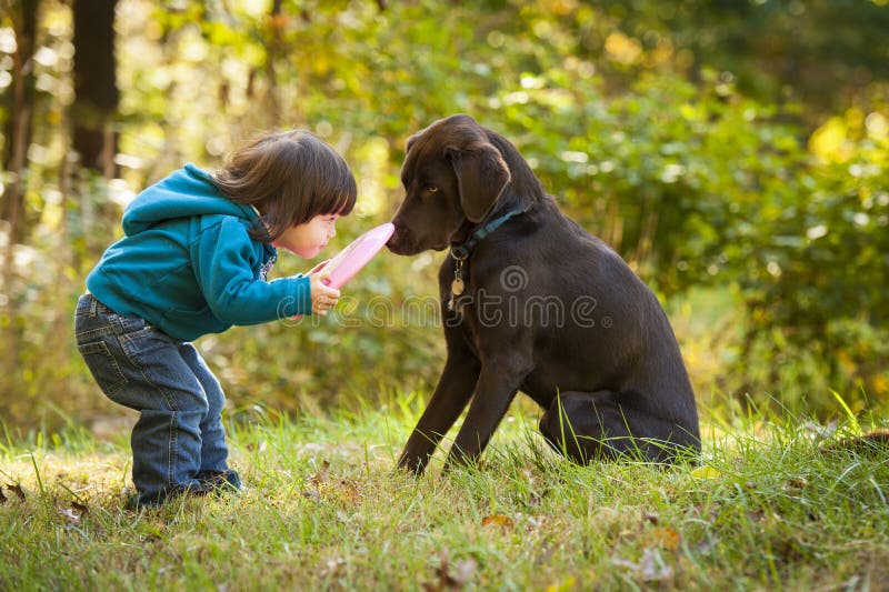 Young child playing fetch with dog royalty free stock images Young child playing fetch with dog royalty free stock images